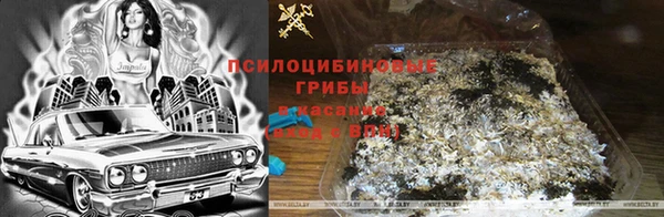 ПСИЛОЦИБИНОВЫЕ ГРИБЫ Дрезна