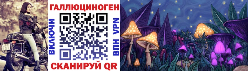 Галлюциногенные грибы Magic Shrooms omg tor Купино